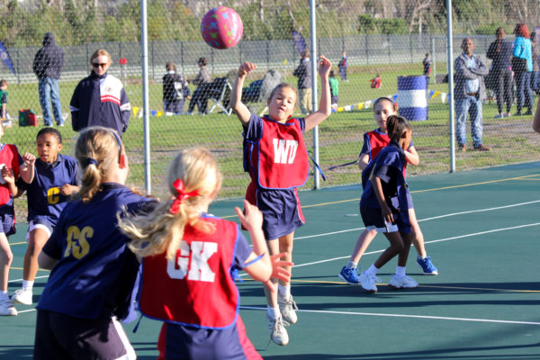 IMG_6436 IMG_6436