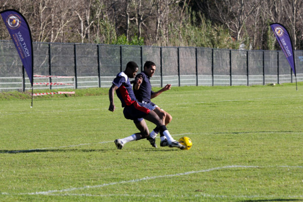 IMG_6454 IMG_6454