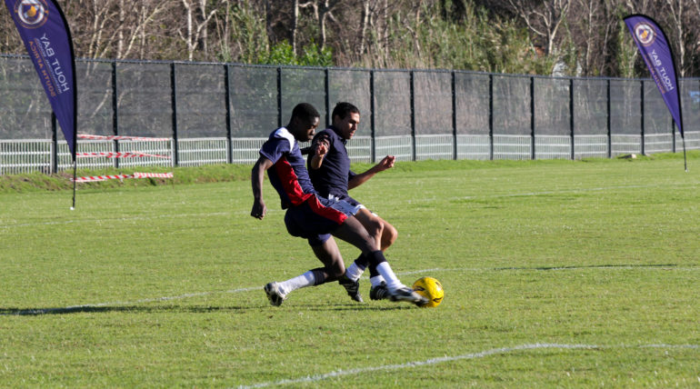 IMG_6454 IMG_6454